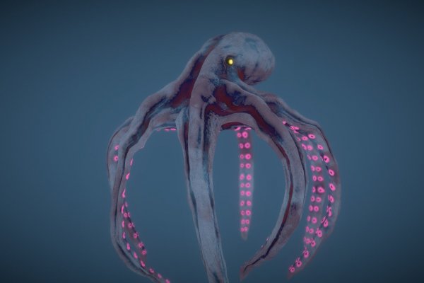 Kraken official